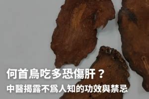 何首烏價錢